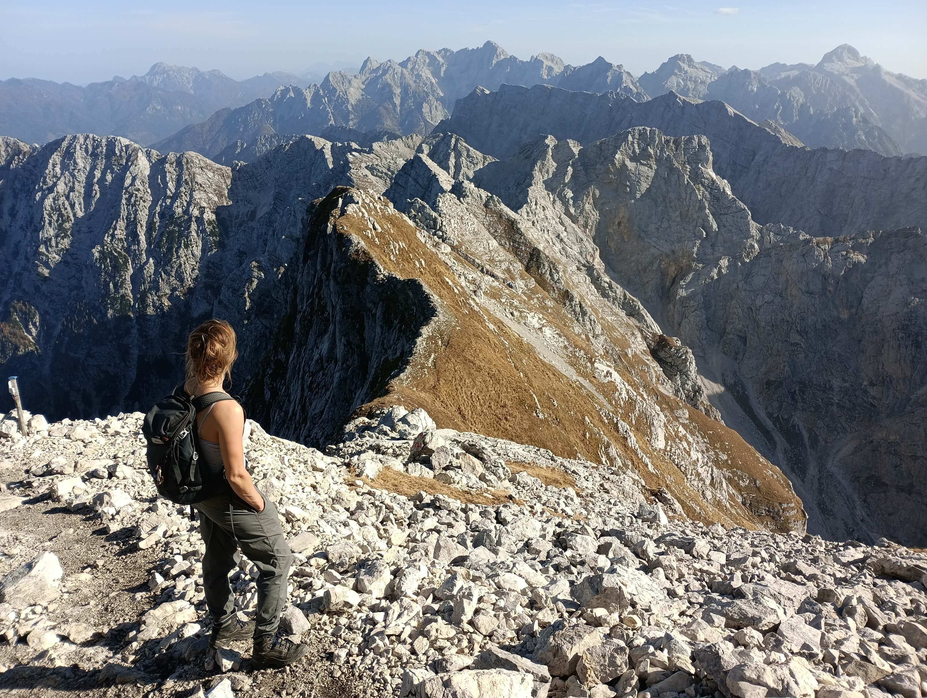 Personal Training Background